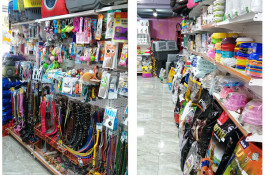 پت شاپ دنیای منقارکج ها در قزوین