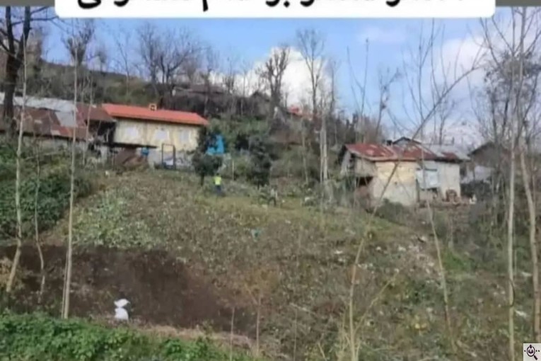 مشاور املاک اشنود در لاهیجان