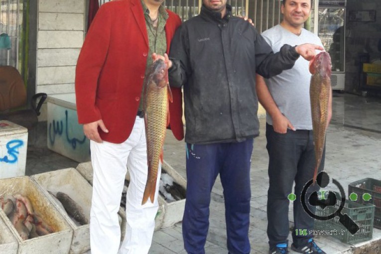 ماهی فروشی ندیم در بندر ترکمن