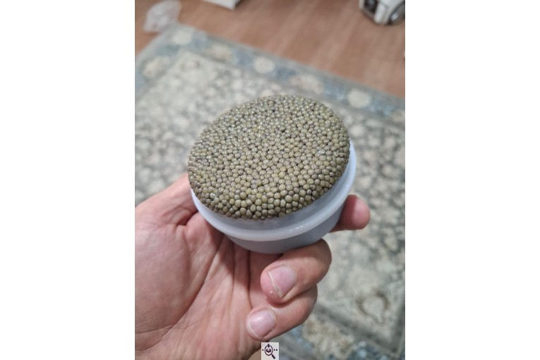 ماهی فروشی ندیم در بندر ترکمن