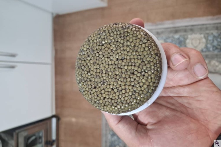 ماهی فروشی ندیم در بندر ترکمن