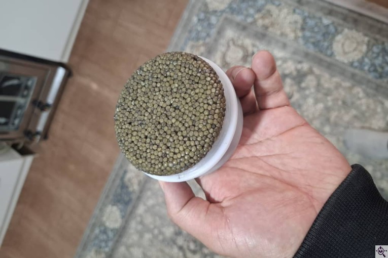 ماهی فروشی ندیم در بندر ترکمن