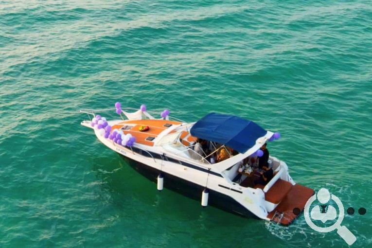 ارائه خدمات تفریحی و گردشگری کیش تراول در جزیره کیش