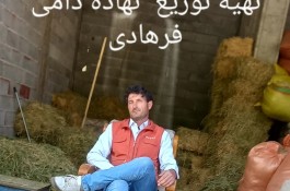 فروش یونجه و خوراک دام شرکت نوین آذر فرهادی در میاندوآب