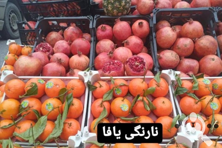 سوپر میوه بهرام در میانه