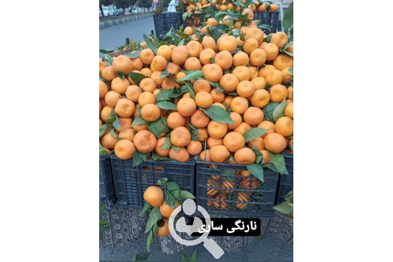 سوپر میوه بهرام در میانه