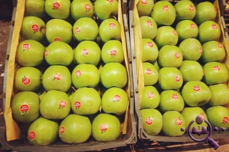 صادرات میوه تره بار خمسه در شیراز 
