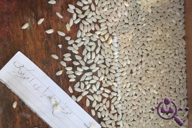 بازرگانی برنج ویسادار در تالش