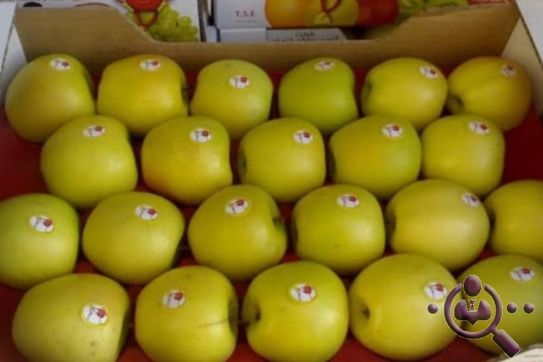 صادرات سیب زرین شنو در اشنویه
