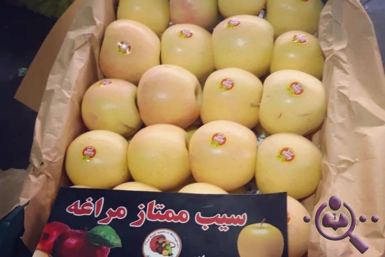 صادرات سیب و میوه و تره بار امید جواد پور در مراغه