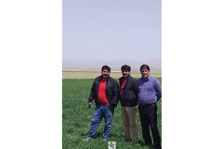 تولید و فروش محصولات مجموعه کشاورزی برادران عطایی در درگزین