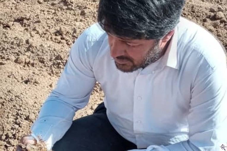 تولید و فروش محصولات مجموعه کشاورزی برادران عطایی در درگزین