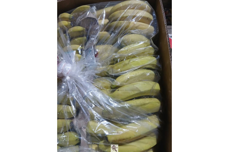 بارفروشی میوه و تره بار فرشاد صادقی در اهواز