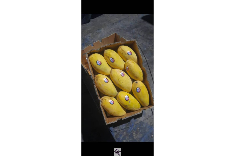 بارفروشی میوه و تره بار فرشاد صادقی در اهواز