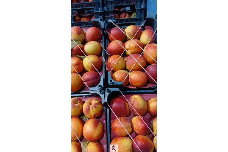 بارفروشی میوه و تره بار فرشاد صادقی در اهواز