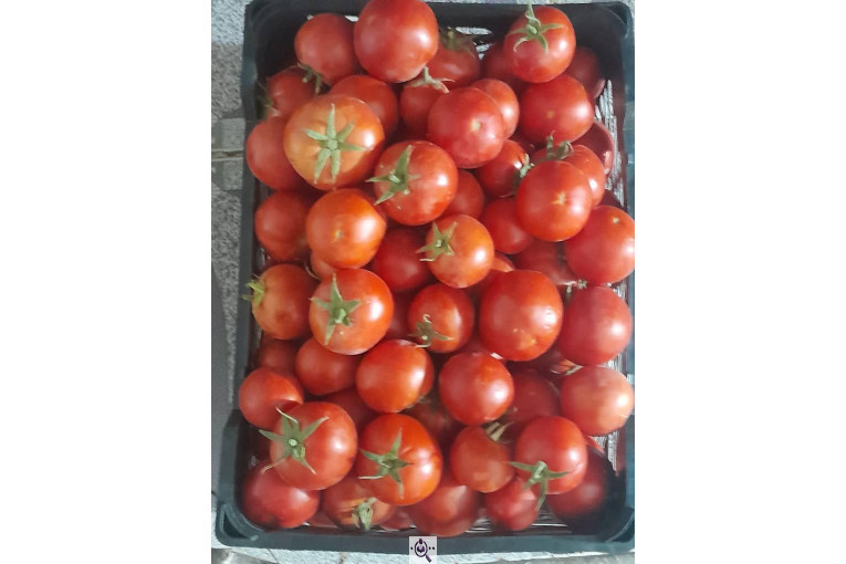 بارفروشی میوه و تره بار فرشاد صادقی در اهواز