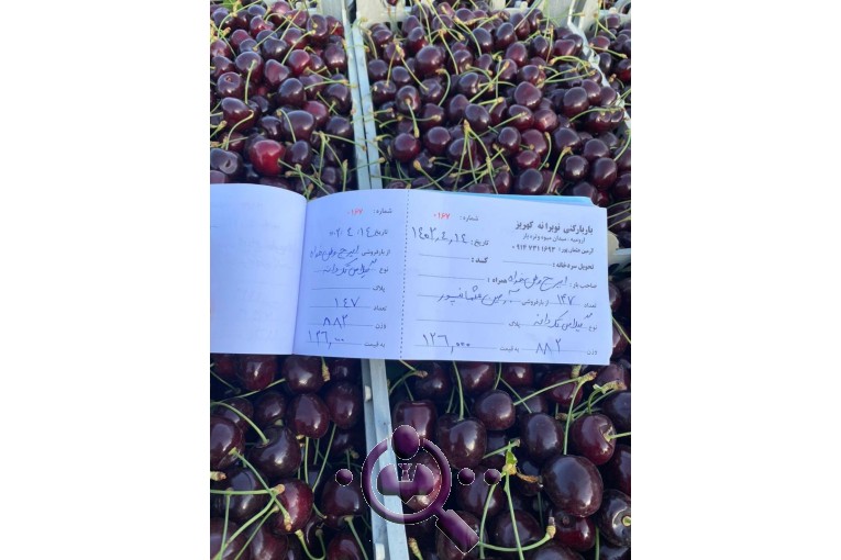 صادرات میوه و تره بار عثمان پور در ارومیه