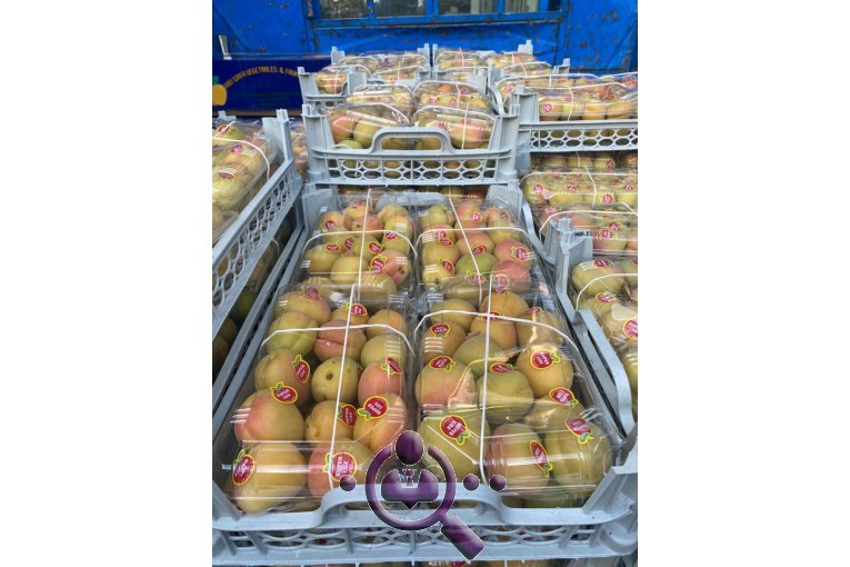 صادرات میوه و تره بار عثمان پور در ارومیه