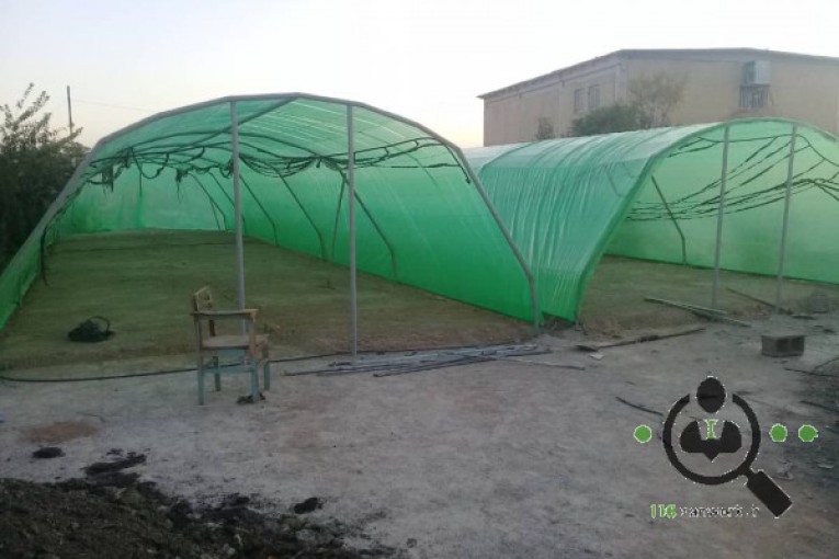 شرکت رویش سبز گلخانه ارسلان (گیاهان دارویی) در فسا