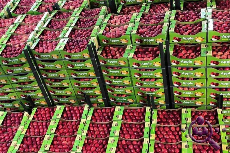 بازرگانی و صادرات میوه احمدتاش در اشنویه