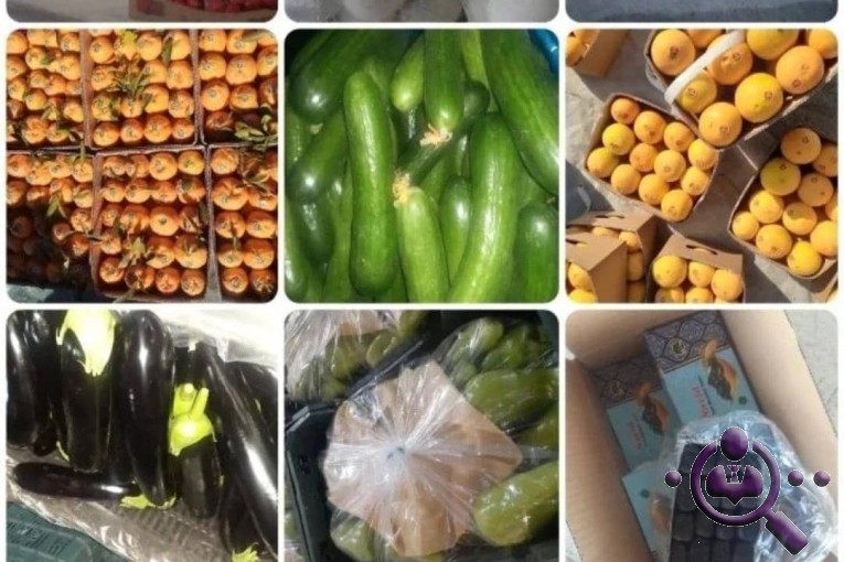 بازرگانی و صادرات میوه و تره بار محمد سالاری در جیرفت