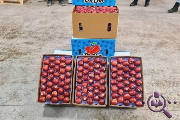 صادرات میوه و تره بار مطلب قورقچی در پیرانشهر