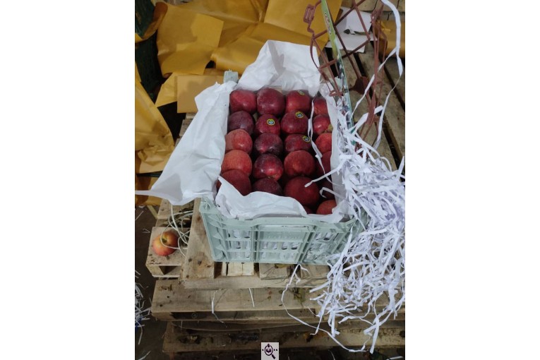 صادرات میوه و تره بار مطلب قورقچی در پیرانشهر