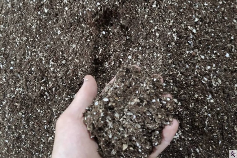 تولید کود و خاک گلدان میثم در رودسر