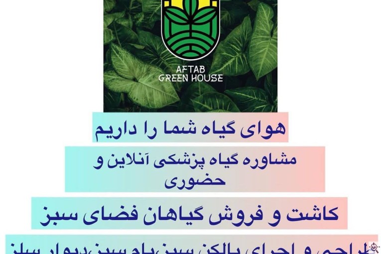 گلخانه آفتاب aftab greenhouse در چهارباغ کرج