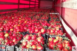 صادرات انواع میوه و گوجه فرنگی آرش عمادی در شیراز