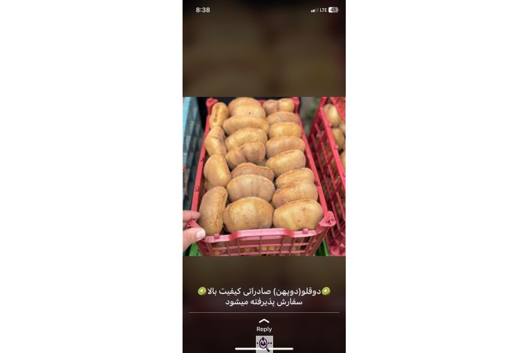 بازرگانی و صادرات میوه و تره بار احمدی در آستارا