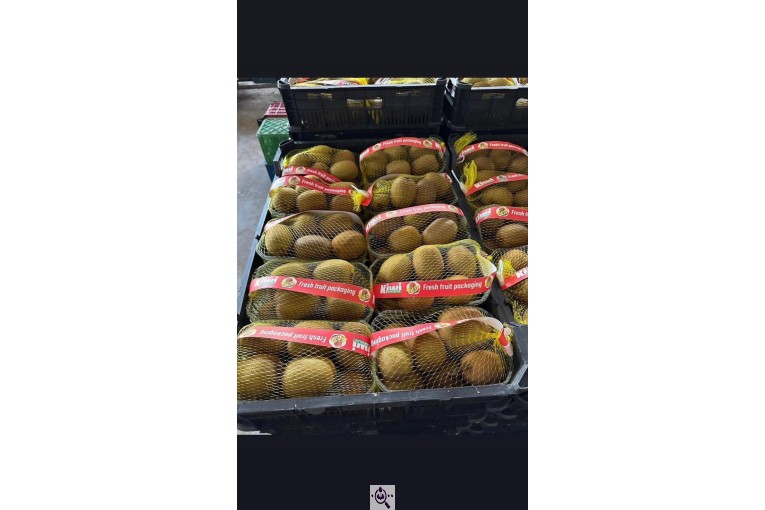 بازرگانی و صادرات میوه و تره بار احمدی در آستارا