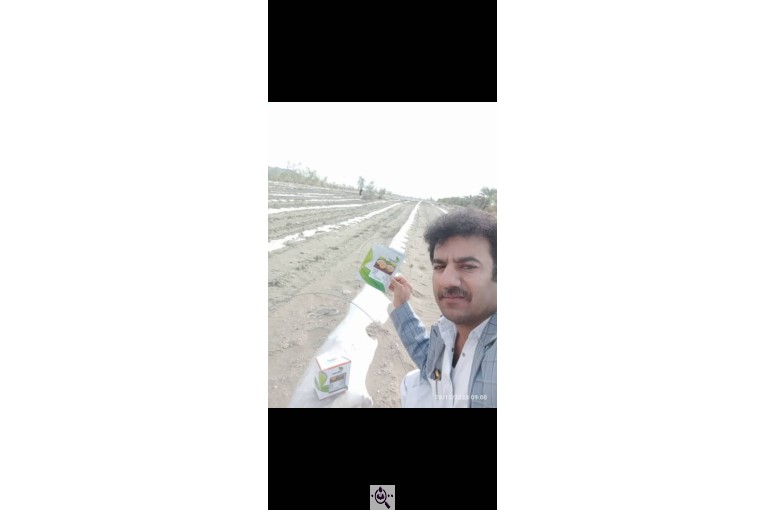 خدمات بذر کشاورزی نوری در اصفهان