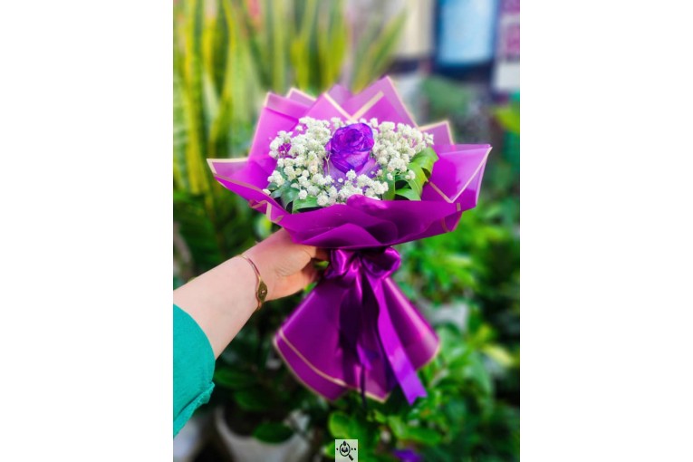 گلسرای پامچال در شیراز