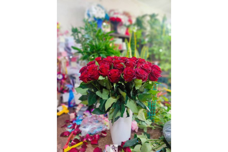 گلسرای پامچال در شیراز