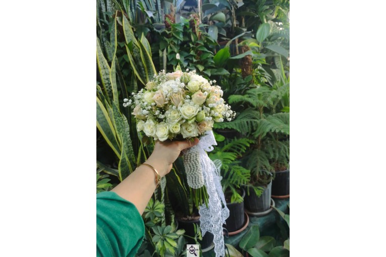 گلسرای پامچال در شیراز