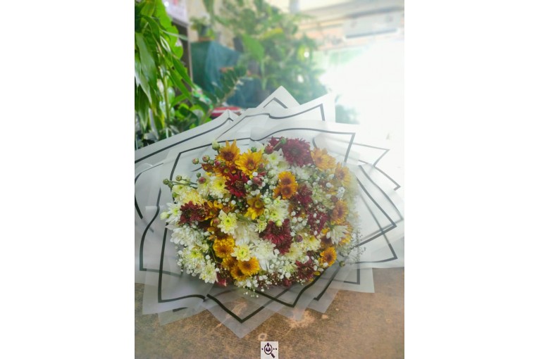 گلسرای پامچال در شیراز