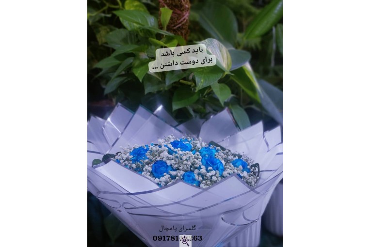 گلسرای پامچال در شیراز