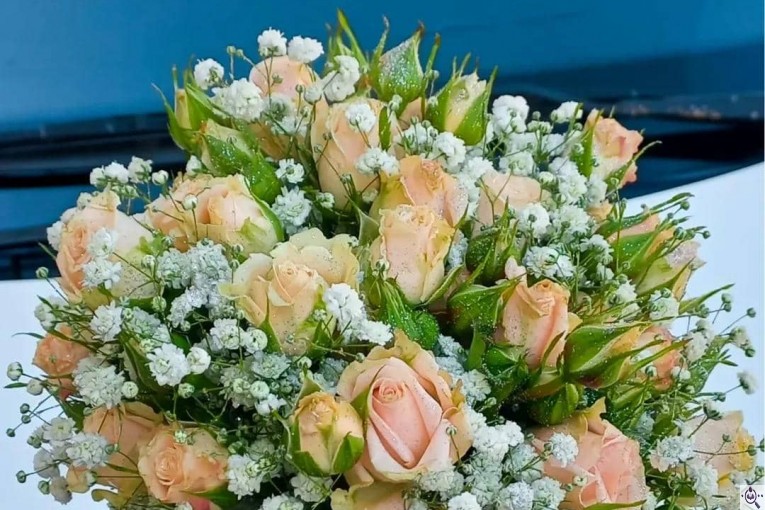 گلسرای پامچال در شیراز