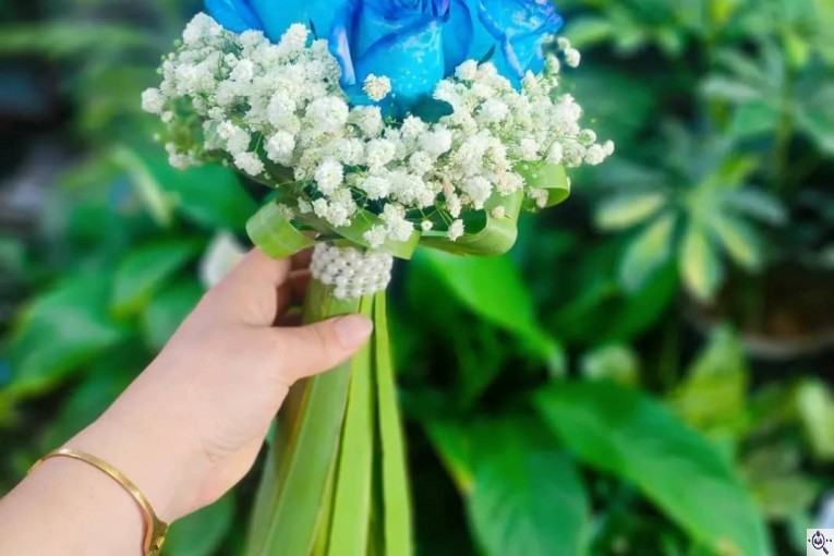 گلسرای پامچال در شیراز