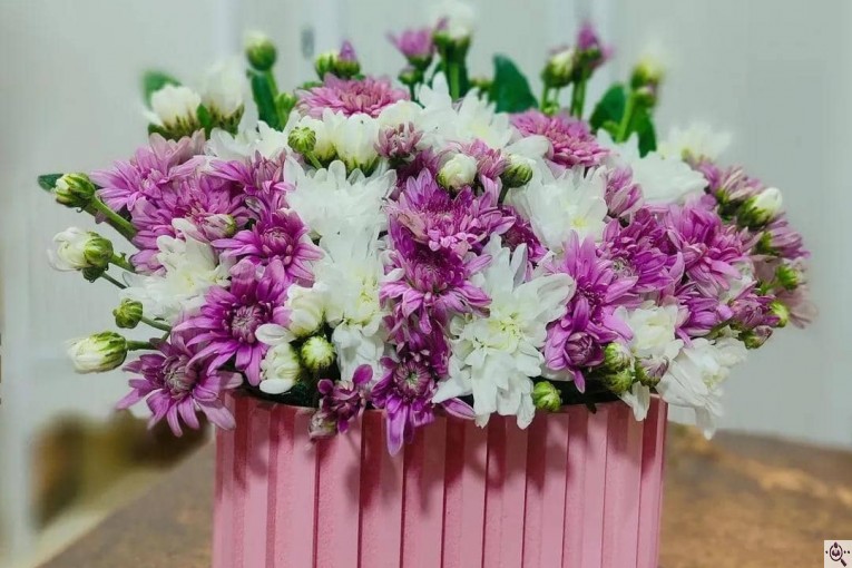 گلسرای پامچال در شیراز