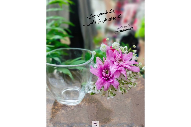 گلسرای پامچال در شیراز