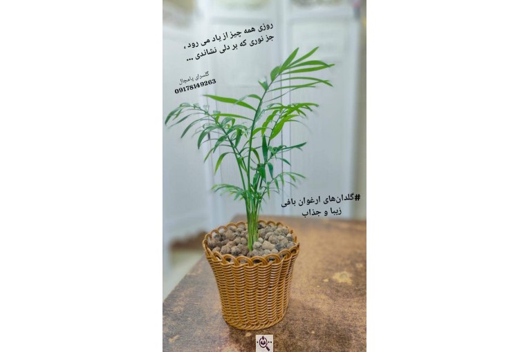 گلسرای پامچال در شیراز