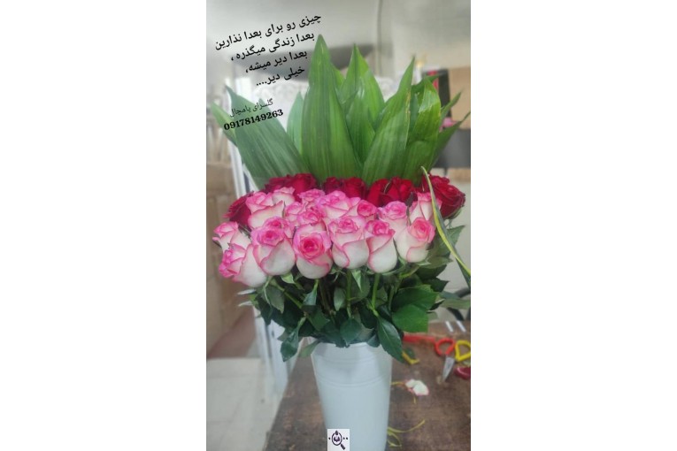 گلسرای پامچال در شیراز
