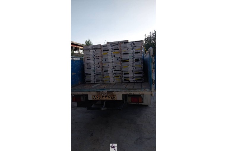 آراس چوب بهراد در کردستان