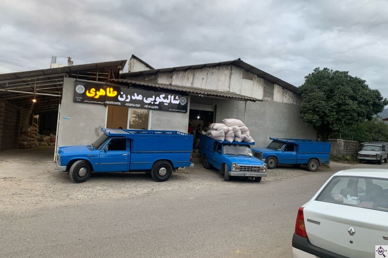 کارخانه شالیکوبی طاهری در نشتارود