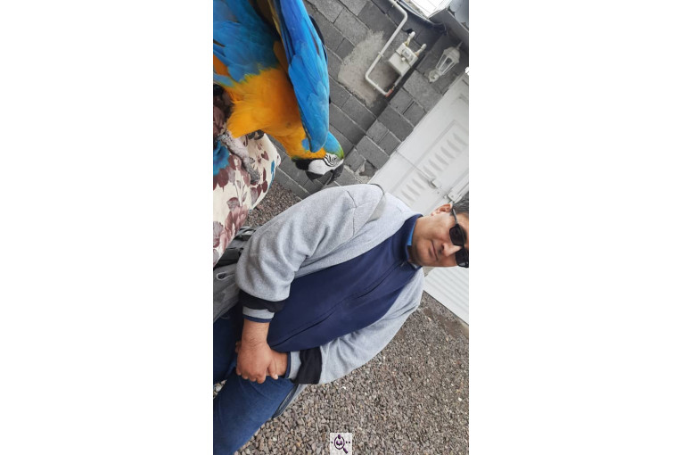 کلینیک دامپزشکی دکتر داربوئی در لشت نشاء