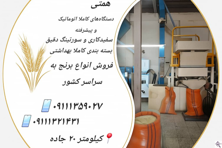 برنجکوبی حاج رحمت همتی در رشت به کوچصفهان