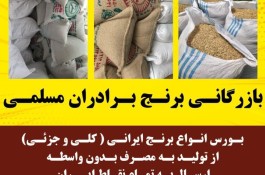 بازرگانی برنج مسلمی در مازندران