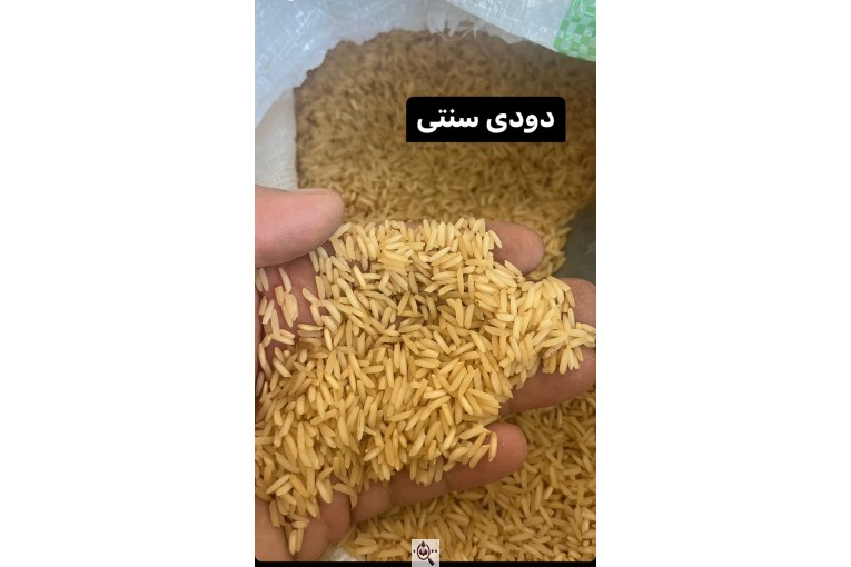 بازرگانی برنج مسلمی در مازندران